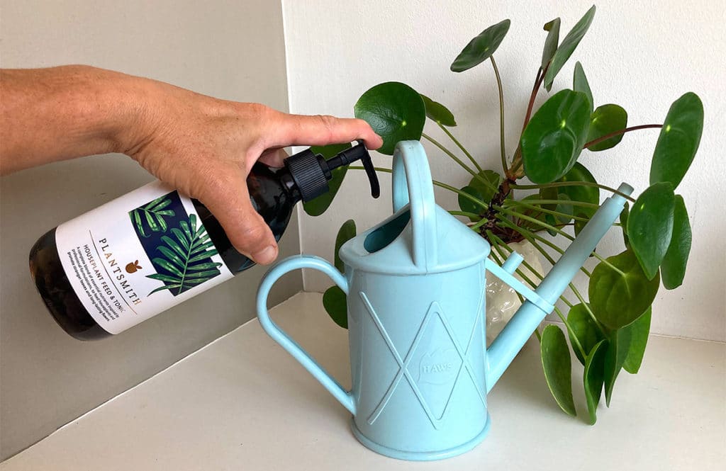 Filling watering can Plantsmith Feed & Tonic