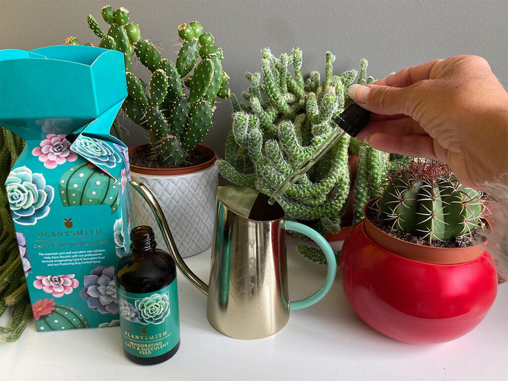 Range of cacti with Invigorating Cacti Feed and watering can