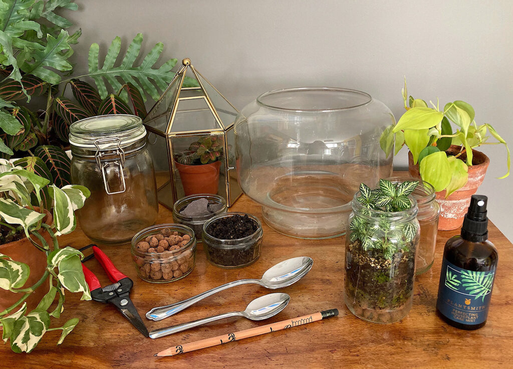 Kit for making a terrarium