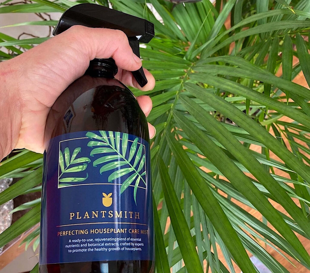 Misting palm with Perfecting Houseplant Care Mist